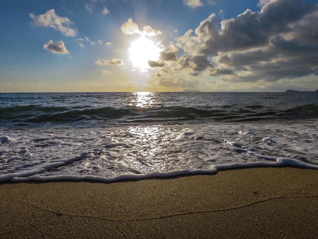 Cairns Beaches Flashpackers Palm Cove Exteriér fotografie